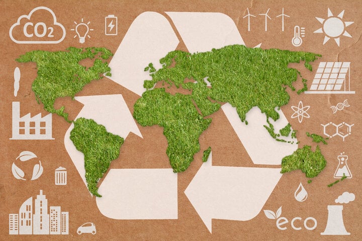 Proyectos medioambientales y sostenibilidad