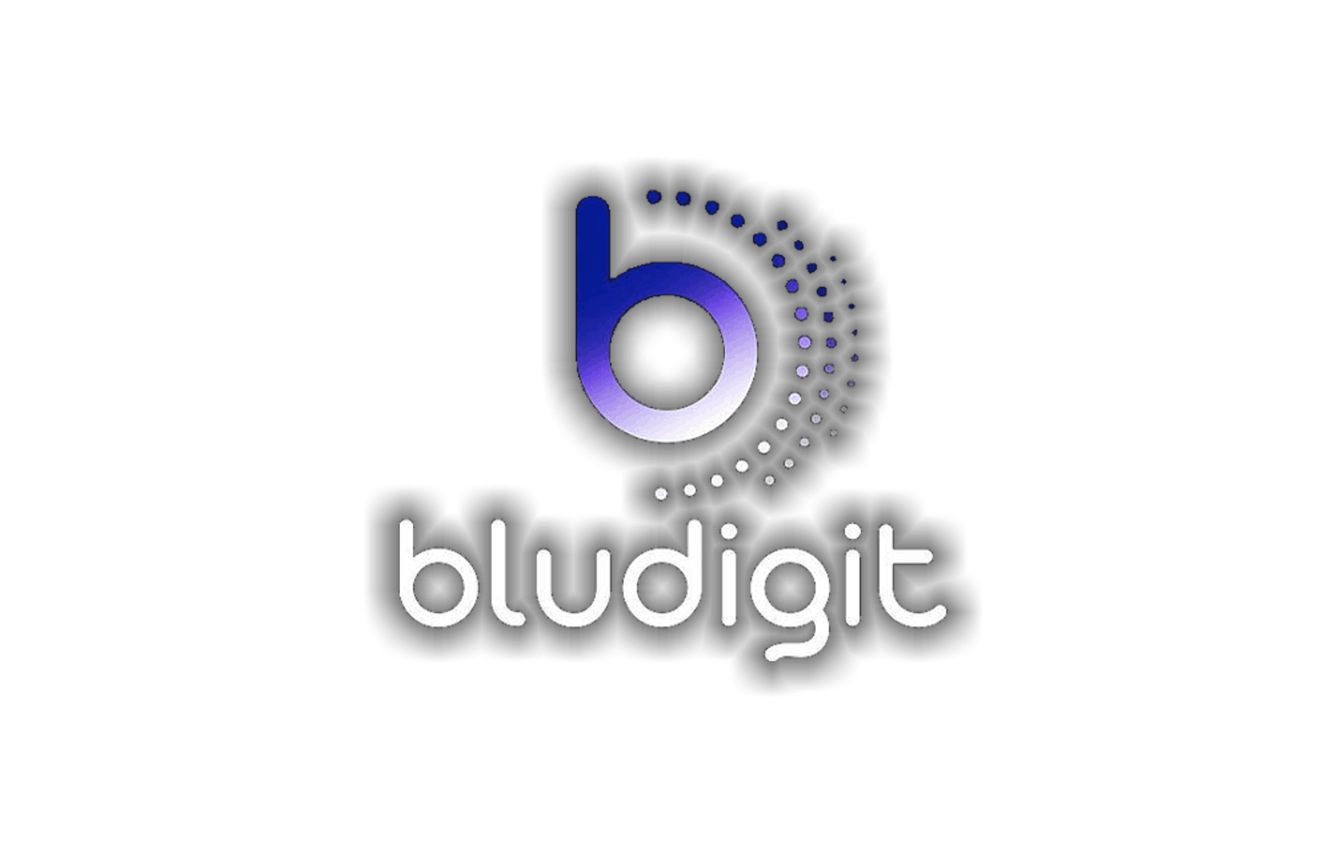 BluDigit: Innovación en contenidos digitales