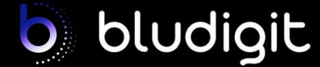 BluDigit: Innovación en contenidos digitales